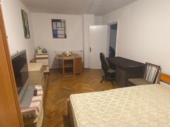 Teiul Doamnei
